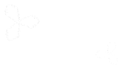 Atklāj Aizkraukli
