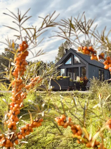 Smiltsērkšķu namiņš